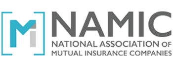 NAMIC - Logo